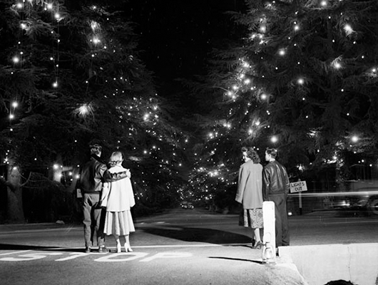 Guests at Christmas Tree Lane in the 1950s
