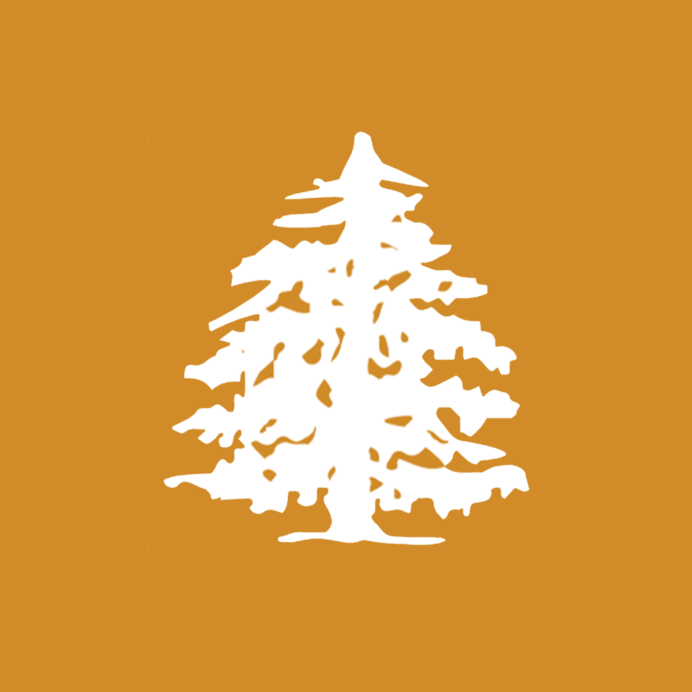 Square tree logo