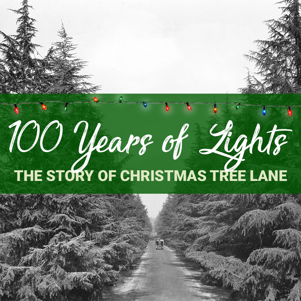 100 Years of Lights