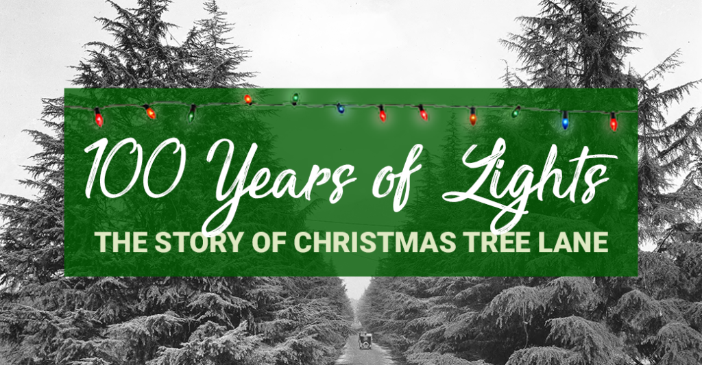 100 Years of Lights